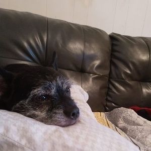 Meet your Posher, Lynn